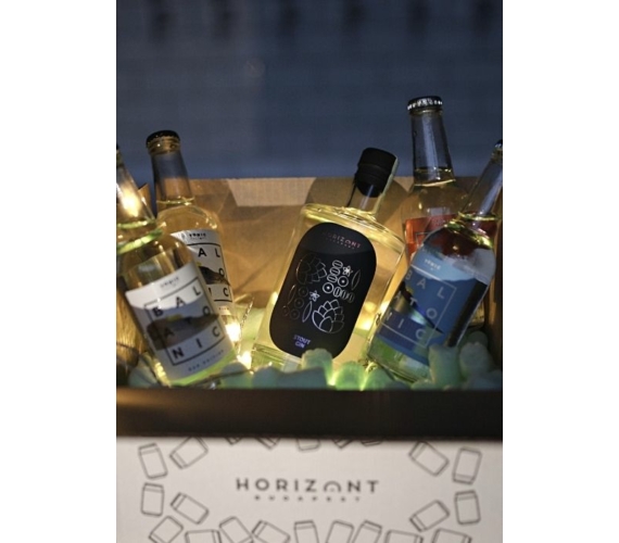 Horizont Gin Pack  (IPA)  /  4 palack Balatonic